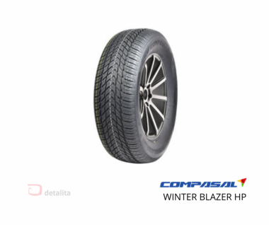 Tire Compasal 205/55R16  91 H WINTERBLAZER HP 