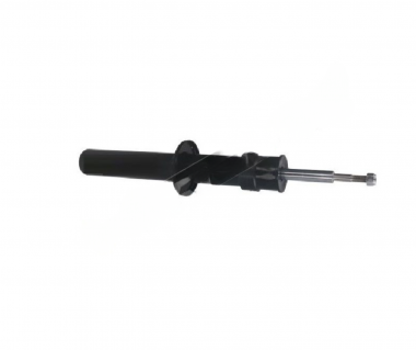 Amortizatorius P. BMW X5 E70/X6 E71/E72 3.0-4.8 06-14 dujinis 