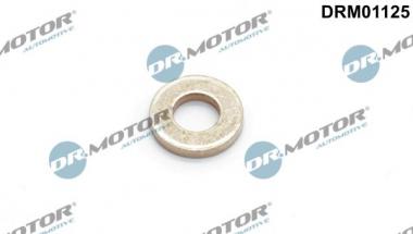 Seal Ring, injector 