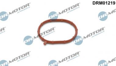Seal Ring, charger
