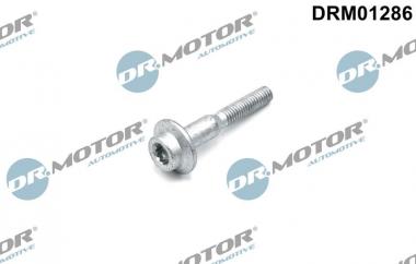 Screw, injection nozzle holder