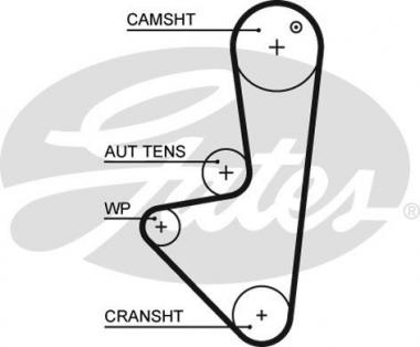 Timing Belt 