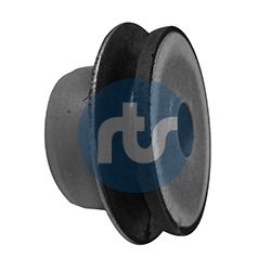 Valdymo svirties/išilginių svirčių įvorė Audi A6/VW Passat B5 97> galinė 