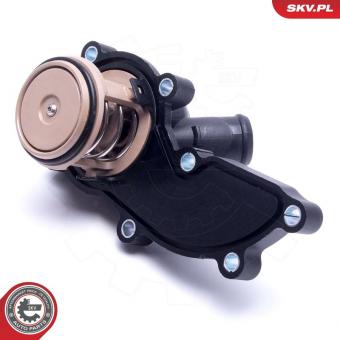 Termostatas Audi A4/A6/A8  88 C 