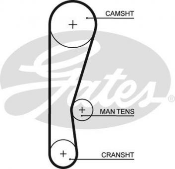 Timing Belt 