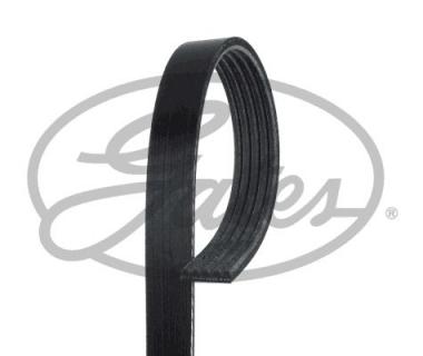 V-Ribbed Belts 