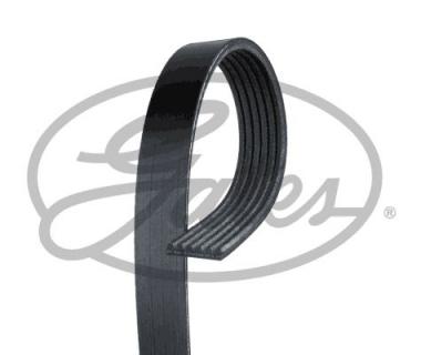 V-Ribbed Belts 