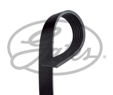 V-Ribbed Belts 