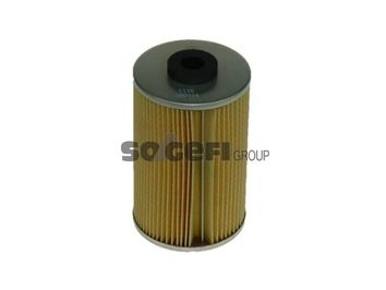 Fuel filter 