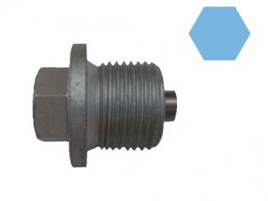 Sealing Plug, oil sump 