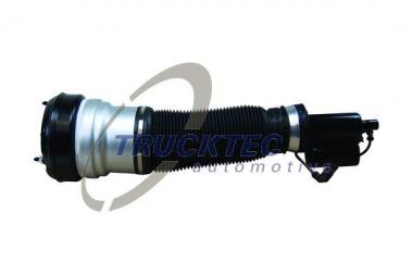Air Spring Strut