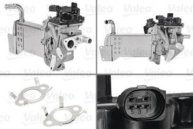 EGR Module