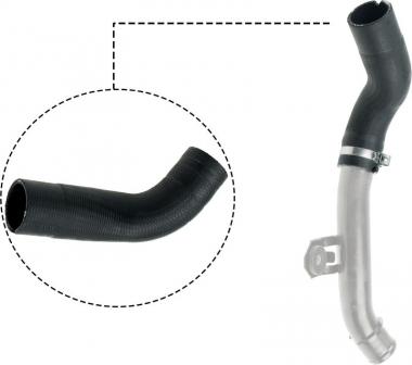 Charger Air Hose