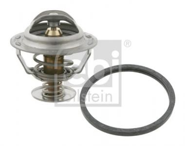 Thermostat, coolant