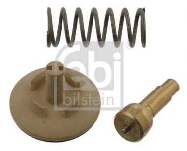 Thermostat, coolant