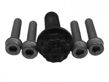 Bolt Set, crankshaft pulley 