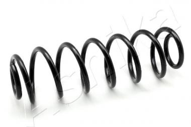 Coil Spring 