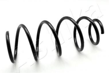 Coil Spring 