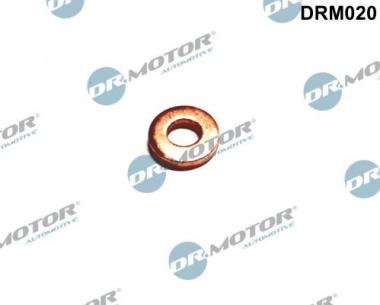 Seal Ring, injector 