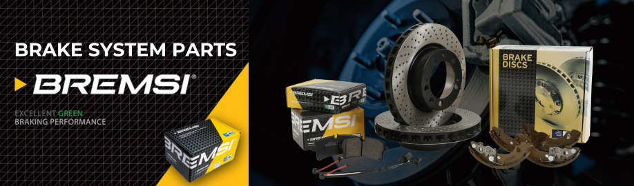 BremsiB2C