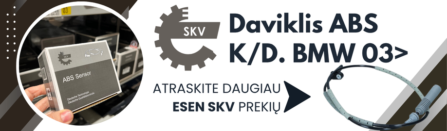 Esen_skvB2C