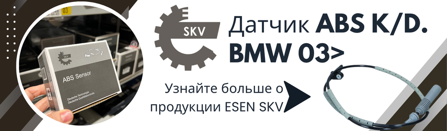 Esen_skvB2C