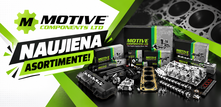 Motive_B2C