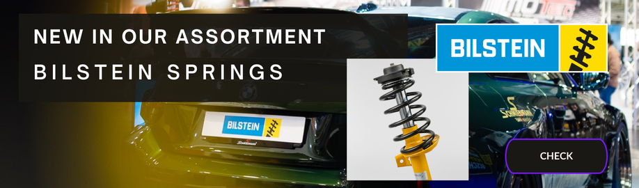 Spyruokle_bilsteiB2C